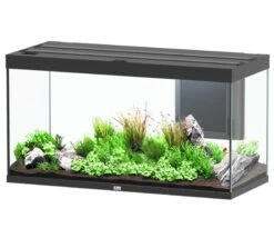 Nouvelles versions 5 AQUATLANTIS Volga 350 Noir Aquarium équipé 427 L - Dimensions : 122,5 X 52,7 X 66,1 Cm