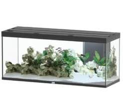 Nouvelles versions 7 AQUATLANTIS Volga 450 Noir Aquarium équipé 580 L - Dimensions : 152,5 X 52,7 X 67,6 Cm