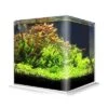 Cuve Nue AMTRA NanoTank 20 Dimensions 25 X 25 X 30 Cm 18L En Verre 4 Mm