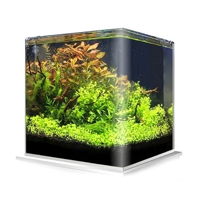 Cuve Nue AMTRA NanoTank 20 Dimensions 25 X 25 X 30 Cm 18L En Verre 4 Mm 1 Cuve Nue AMTRA NanoTank 20 Dimensions 25 X 25 X 30 Cm 18L En Verre 4 Mm