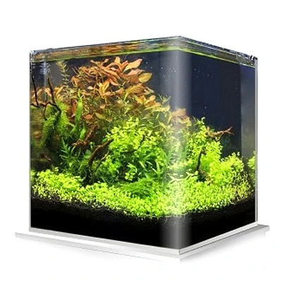 Cuve Nue AMTRA NanoTank 30 L Dimensions 30 X 30 X 35 Cm En Verre 5 Mm 1 Cuve Nue AMTRA NanoTank 30 L Dimensions 30 X 30 X 35 Cm En Verre 5 Mm