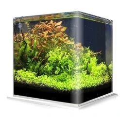 Cuve Nue AMTRA NanoTank 60 L Dimensions 38 X 38 X 43 Cm En Verre 5 Mm