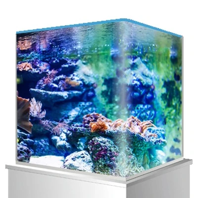 Cuve Nue AMTRA NanoTank 90 L Dimensions 45 X 45 X 45 Cm En Verre 6 Mm 2 Cuve Nue AMTRA NanoTank 90 L Dimensions 45 X 45 X 45 Cm En Verre 6 Mm – Image 2