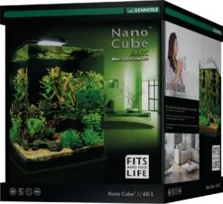 DENNERLE Nano Cube Basic 60 L Nano-aquarium 38 X 38 X 43 Cm Avec Filtration Et éclairage Style LED L