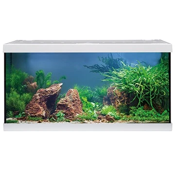 EHEIM AquaStar 54 LED Blanc Aquarium équipé 60 Cm 54L Disponible Avec Ou Sans Meuble 2 EHEIM AquaStar 54 LED Blanc Aquarium équipé 60 Cm 54L Disponible Avec Ou Sans Meuble – Image 2