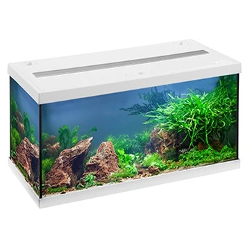 EHEIM AquaStar 54 LED Blanc Aquarium équipé 60 Cm 54L Disponible Avec Ou Sans Meuble 1 EHEIM AquaStar 54 LED Blanc Aquarium équipé 60 Cm 54L Disponible Avec Ou Sans Meuble