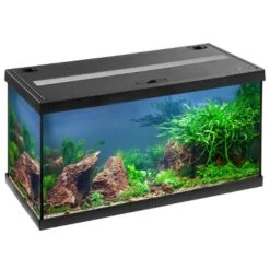 EHEIM AquaStar 54 LED Noir Aquarium équipé 60 Cm 54L Disponible Avec Ou Sans Meuble