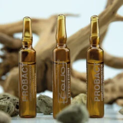 EQUO Probact 6 Ampoules Bactéries Probiotiques Purificatrices Pour Aquarium D'eau Douce Et Eau De Mer 5 EQUO Probact 6 Ampoules Bactéries Probiotiques Purificatrices Pour Aquarium D'eau Douce Et Eau De Mer -Aquarium Équipement equo probact bacteries probiotiques purificatrices pour aquarium