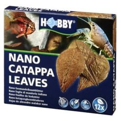 HOBBY Nano Catappa Leaves Lot De 12 Feuilles De Badamier Pour Nano-aquarium