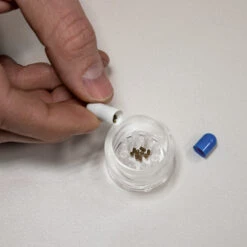 HOBBY Planaria X Piège à Planaires Pour Aquarium D'eau Douce Et D'eau De Mer 10 HOBBY Planaria X Piège à Planaires Pour Aquarium D'eau Douce Et D'eau De Mer -Aquarium Équipement hobby planaria x piege a planaires pour aquarium d eau douce et d eau de mer 3