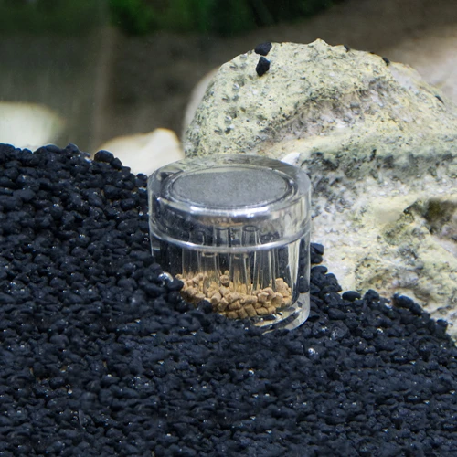 HOBBY Planaria X Piège à Planaires Pour Aquarium D'eau Douce Et D'eau De Mer 6 HOBBY Planaria X Piège à Planaires Pour Aquarium D'eau Douce Et D'eau De Mer – Image 6