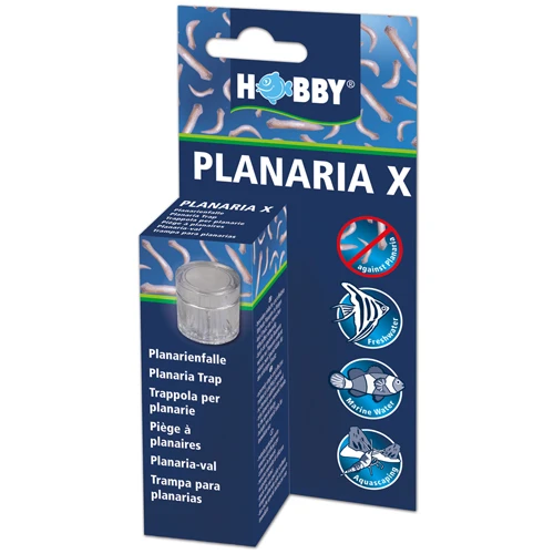 HOBBY Planaria X Piège à Planaires Pour Aquarium D'eau Douce Et D'eau De Mer 1 HOBBY Planaria X Piège à Planaires Pour Aquarium D'eau Douce Et D'eau De Mer