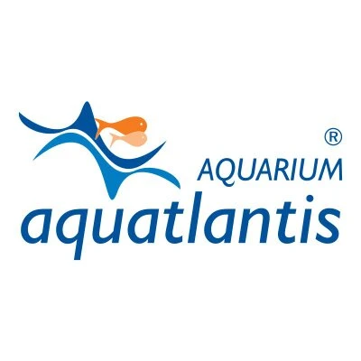 AQUATLANTIS Joint Torique De Tête De Pompe Pour CleanSys Pro 730 Et 850 1 AQUATLANTIS Joint Torique De Tête De Pompe Pour CleanSys Pro 730 Et 850