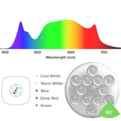 AI Prime 16 HD Freshwater White 55W Rampe LEDs Haute Puissance Pour L'éclairage Des Aquariums D'eau Douce 10 AI Prime 16 HD Freshwater White 55W Rampe LEDs Haute Puissance Pour L'éclairage Des Aquariums D'eau Douce -Aquarium Équipement prime 6 1