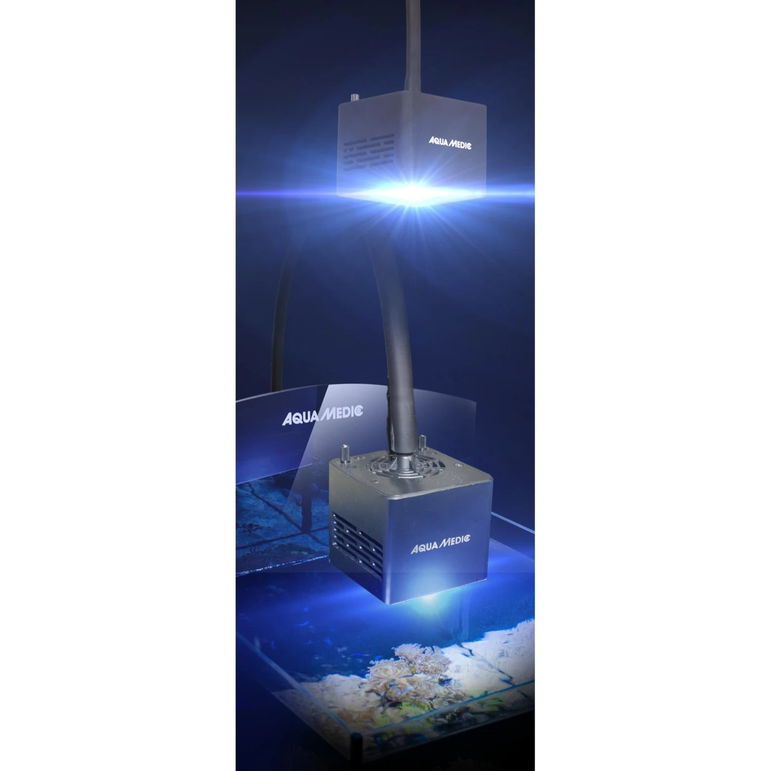 AQUA MEDIC Qube 50 Lampe LEDs Puissante 50W Pour Aquarium D'eau De Mer 8 AQUA MEDIC Qube 50 Lampe LEDs Puissante 50W Pour Aquarium D'eau De Mer – Image 8