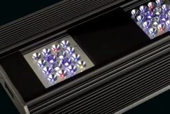 GIESEMANN VERVvE-S 180W Gamme Rampe LEDs Pour Aquarium D'eau De Mer - Modèles One Et Plus - 2 Coloris Au Choix -Aquarium Équipement ret vervve anthrazit 17 min