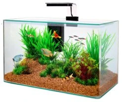 ZOLUX Aqua Clear 50 Noir Aquarium 32 L Avec éclairage LEDs Et Filtre Interne