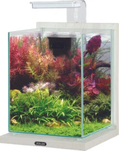 ZOLUX Jalaya 2 Ceruse Blanc 10 L Kit Nano-aquarium équipé Avec éclairage LEDs