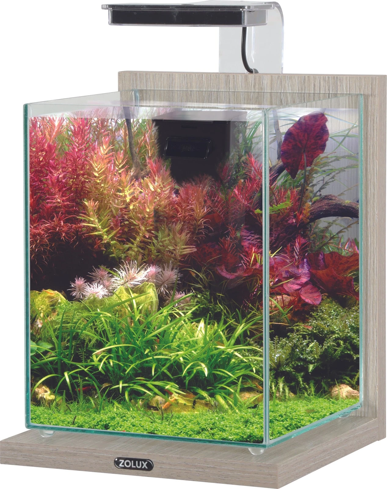 ZOLUX Jalaya 2 Zebrano Gris 10 L Kit Nano-aquarium équipé Avec éclairage LEDs 1 ZOLUX Jalaya 2 Zebrano Gris 10 L Kit Nano-aquarium équipé Avec éclairage LEDs