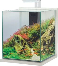 ZOLUX Jalaya XXL Ceruse Blanc 31,5 L Kit Nano-aquarium équipé Avec éclairage LEDs