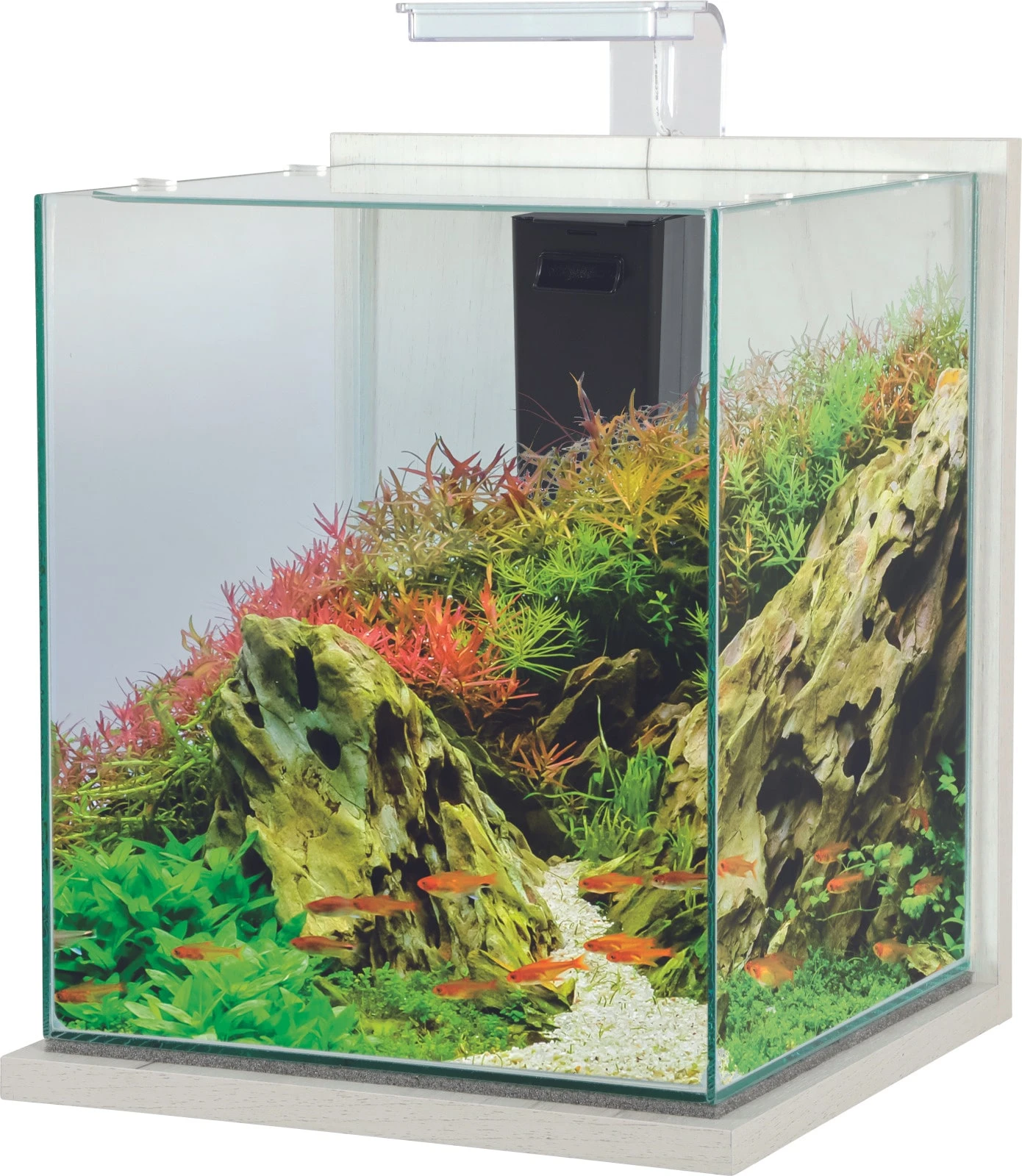 ZOLUX Jalaya XXL Ceruse Blanc 31,5 L Kit Nano-aquarium équipé Avec éclairage LEDs 1 ZOLUX Jalaya XXL Ceruse Blanc 31,5 L Kit Nano-aquarium équipé Avec éclairage LEDs