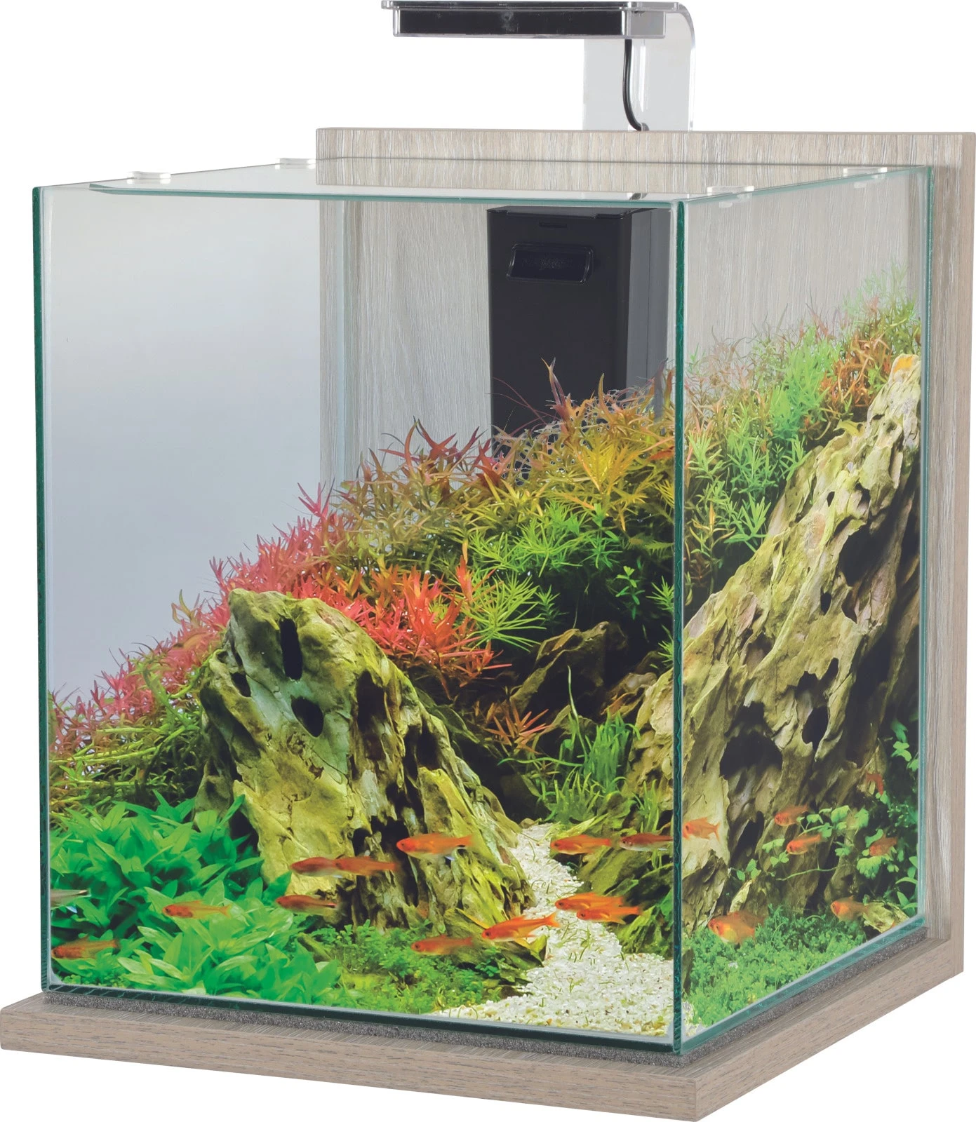 ZOLUX Jalaya XXL Zebrano Gris 31,5 L Kit Nano-aquarium équipé Avec éclairage LEDs 1 ZOLUX Jalaya XXL Zebrano Gris 31,5 L Kit Nano-aquarium équipé Avec éclairage LEDs